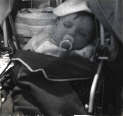 graham-in-pram