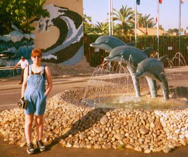 Jackie-dolphins